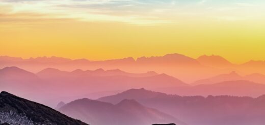 Photo Staffing Partners