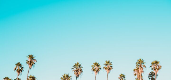 Photo Staffing Costs